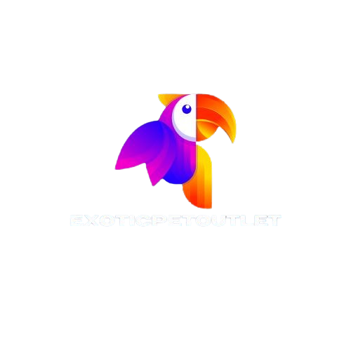 exoticpetoutlet